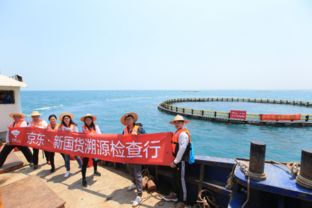 京東出臺最嚴金鯧魚檢測標準 管控指標超140項，助推畜牧漁業飼料升級