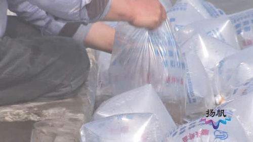 揚州市春季漁業生產全面展開，漁業專家線上答疑解惑助力飼料與水產養殖高質量發展